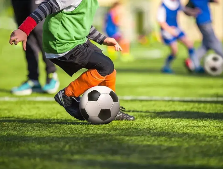 引进维尔茨 引进维尔茨