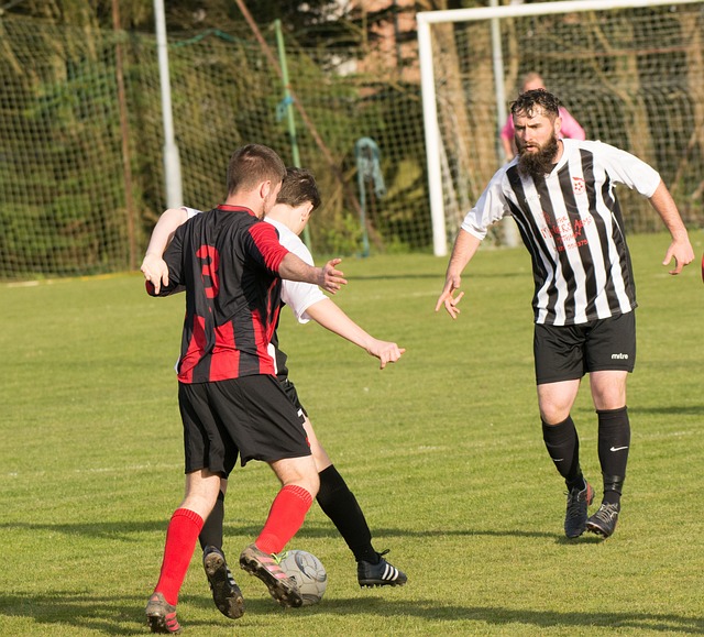 抗伤病的行 抗伤病的行