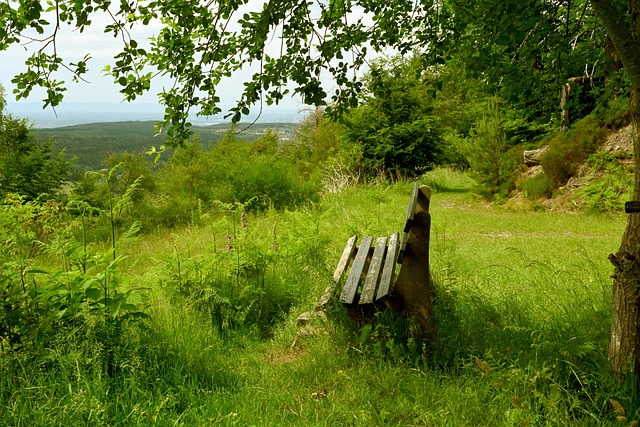 心肺耐力 心肺耐力