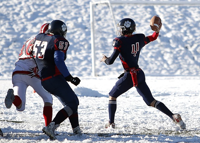这样的球员 这样的球员