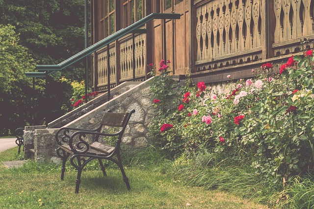 了球队的竞 了球队的竞