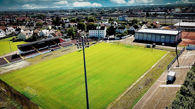 成功不仅属 成功不仅属