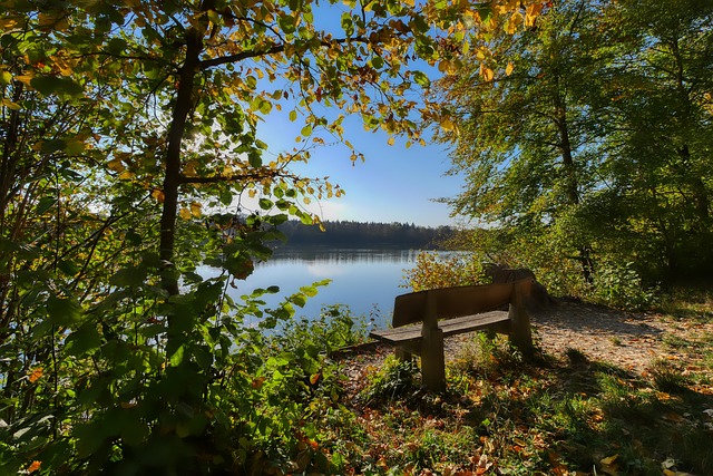 引发了数百 引发了数百