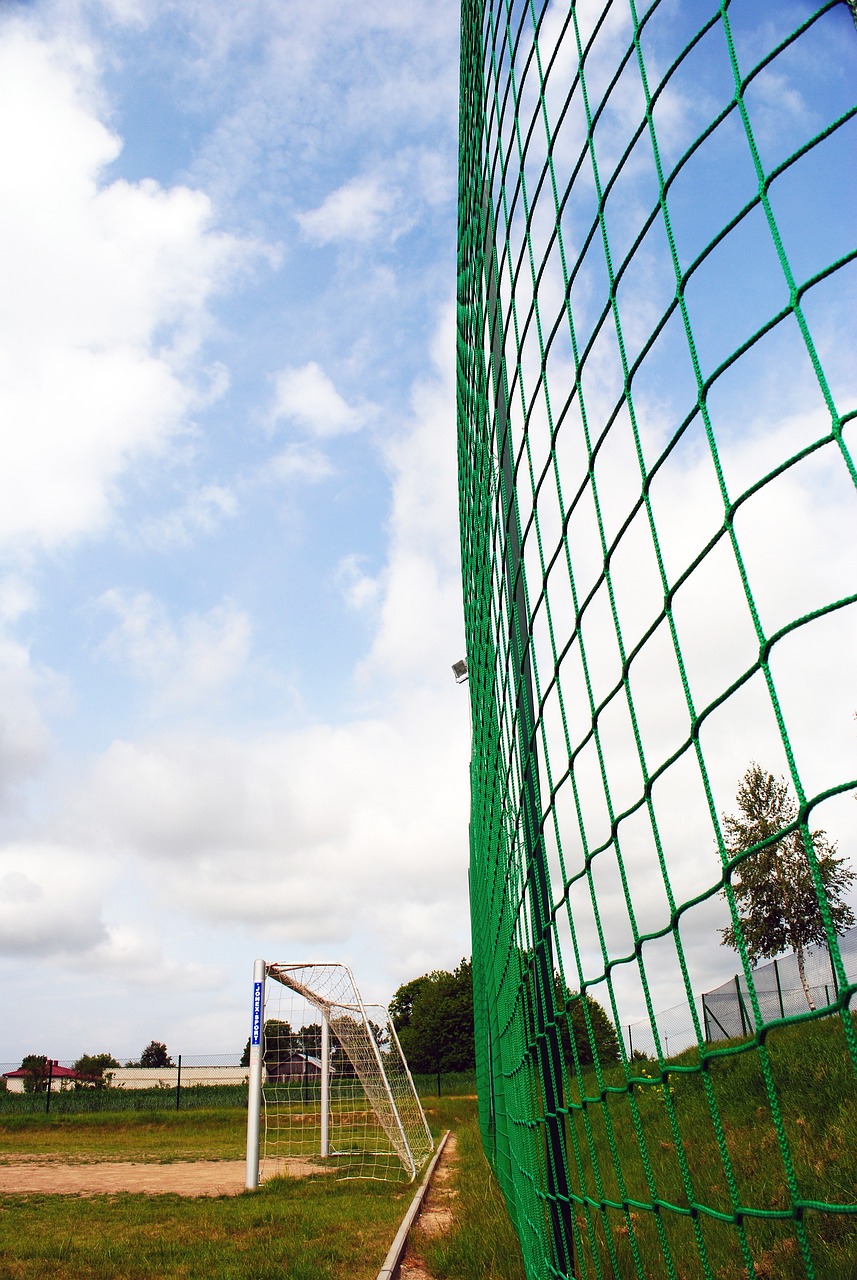 疑是一场永 疑是一场永