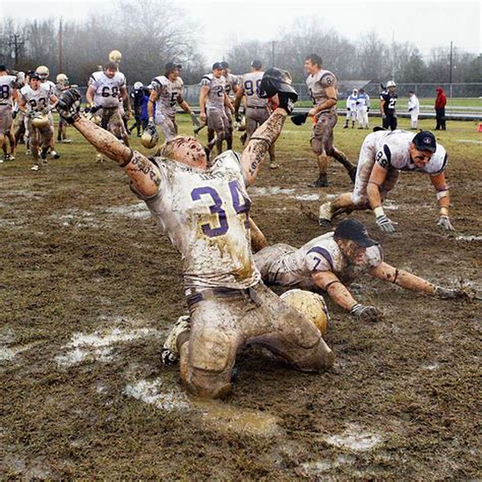 程中归来 程中归来